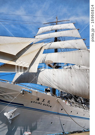 ２代目海王丸による総帆展帆 16960814