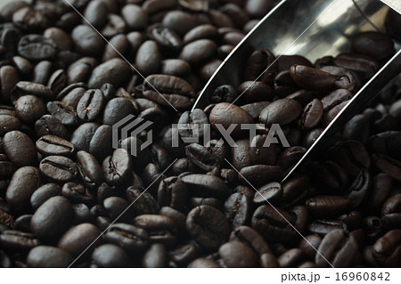 コーヒー豆2 コーヒー豆2 16960842
