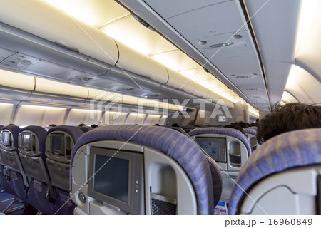 飛行機の座席 飛行機の座席 16960849