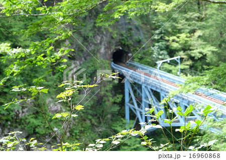 黒部峡谷鉄道 後曳橋 黒部峡谷鉄道 後曳橋 16960868