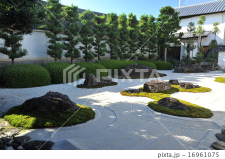 京都 妙蓮寺の庭園 京都 妙蓮寺の庭園 16961075