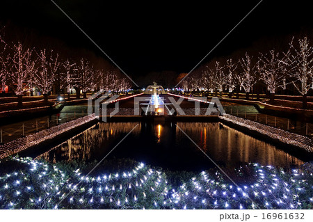 昭和記念公園 Winter Vista Illumination 2014 昭和記念公園 Winter Vista Illumination 2014 16961632