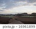 夏の畑の風景 16961899