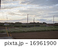 夏の畑の風景2 16961900