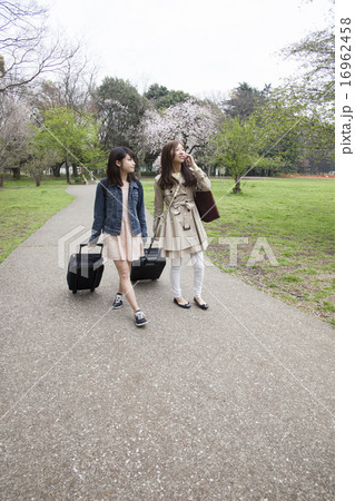女性 旅行 女性 旅行 16962458