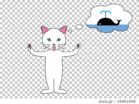 幻想 幻想 16962898