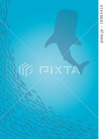 ジンベエザメと鰯のイラスト素材 16963410 Pixta