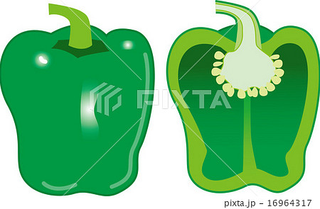 ピーマンのイラスト素材 16964317 Pixta
