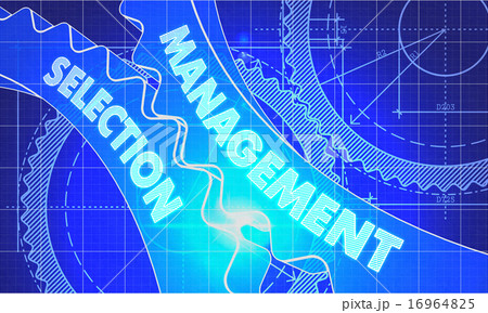 Management Selection on the Gears. Blueprint Style. Management Selection on the Gears. Blueprint Style. 16964825