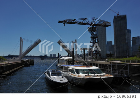 東京江東区・ららぽーと豊洲 16966391