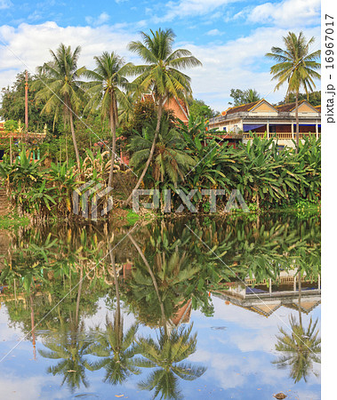 asian tropical landscape 16967017