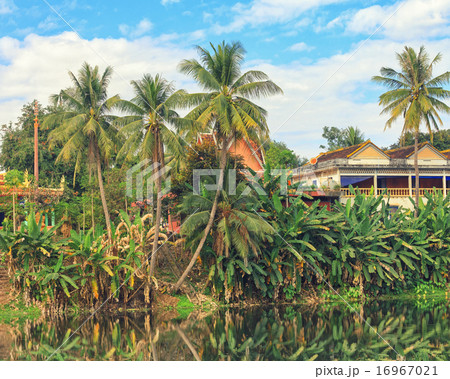 asian tropical landscape asian tropical landscape 16967021