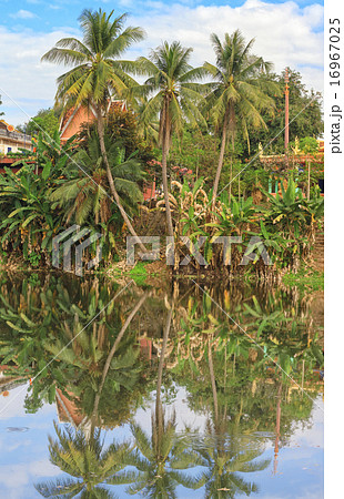 asian tropical landscape asian tropical landscape 16967025