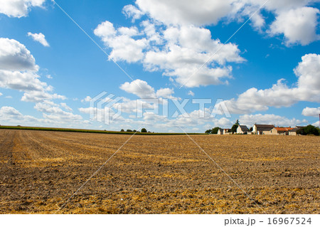 landscape mown grain field in France Loire Valley 16967524