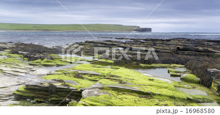 The Bay of Skaill in Orkney, Scotland 16968580