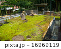 日本庭園1 16969119