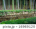 日本庭園2 16969120