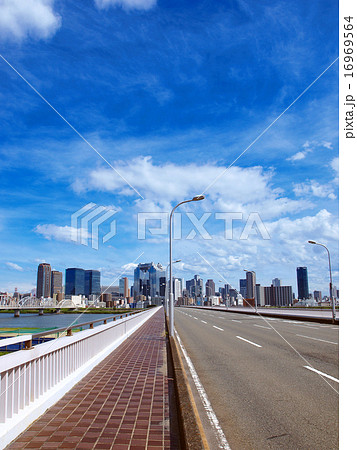 都心に続く道 16969564