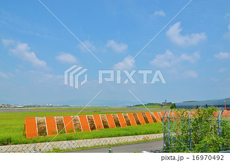 大阪国際空港（伊丹空港）の風景 16970492