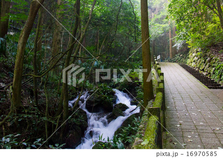 愛媛県　観音水　遊歩道 16970585