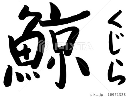 筆文字 鯨のイラスト素材