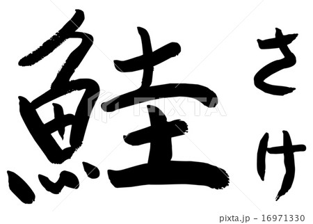 筆文字 鮭 筆文字 鮭 16971330