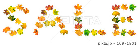 Word SALE composed of autumn maple leafs 16971801