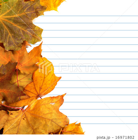Autumn maple-leafs and notebook paper 16971802