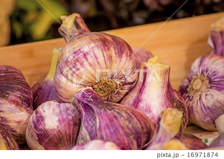 red garlic on a street sale in France 16971874