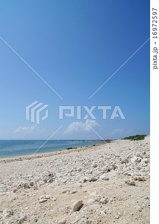 石垣島白保の海岸4 16972597
