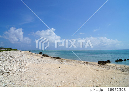 石垣島白保の海岸3 石垣島白保の海岸3 16972598