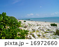 石垣島白保の海岸6 16972660