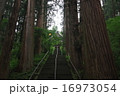 戸隠神社　宝光社 16973054