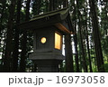 戸隠神社　宝光社 16973058