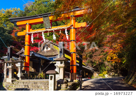 嵯峨鳥居本 16973227