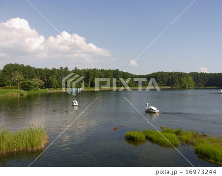 大座法師池 飯綱 大座法師池 飯綱 16973244
