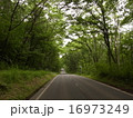 戸隠の道路 16973249