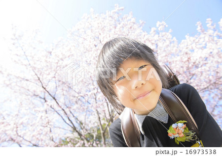 桜と一年生（覗き込む） 16973538