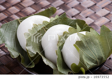 かしわもち 16973552