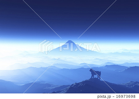 富士山と猿 富士山と猿 16973698
