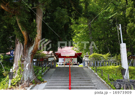 田沢湖　御座石神社 16973909