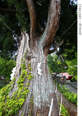 田沢湖　御座石神社 16973911