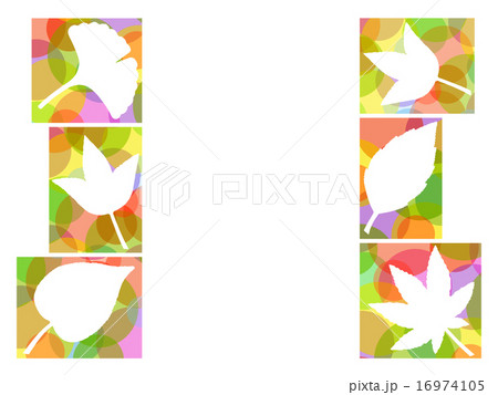 木の葉のイラスト 16974105