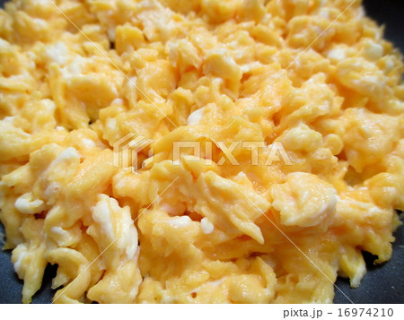 炒りたまご 炒りたまご 16974210