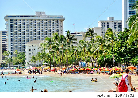 ハワイの休日 ハワイの休日 16974503
