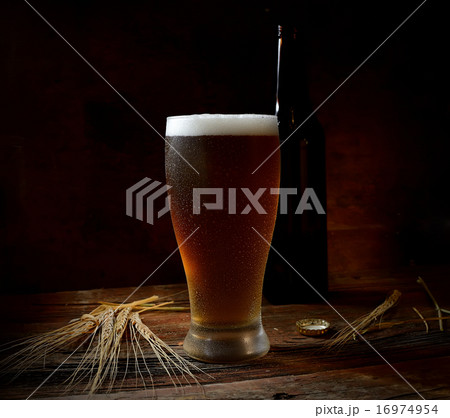 beer, barley on wooden background 16974954