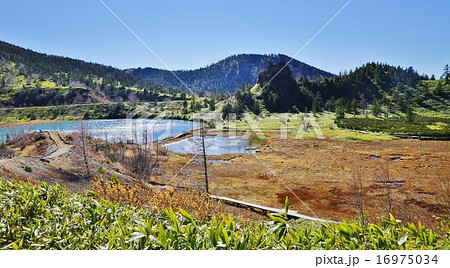 草津白根山弓池 16975034