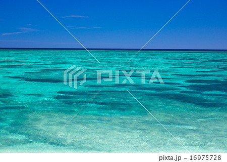 沖縄の海 16975728