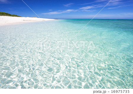 沖縄のビーチ・ナガンヌ島 16975735