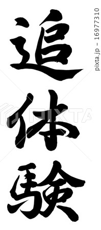 追体験 追体験 16977310